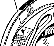 Dtalonnage